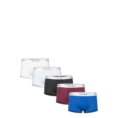 Trunk 5Pk *Villkorat Erbjudande Boxerkalsonger Blå Calvin Klein