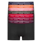 Trunk 7pk Boxerkalsonger Svart Calvin Klein