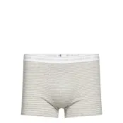 Trunk Boxerkalsonger Beige Calvin Klein