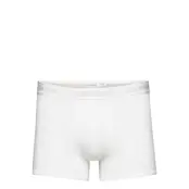 Trunk Boxerkalsonger Vit Calvin Klein
