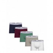 Polo Ralph Lauren Underwear Classic Stretch Cotton Trunk 5-Pack Blå