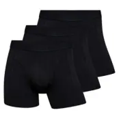 Claudio 3-pack Tights Trunks