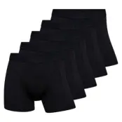 Claudio 5-pack Trunks