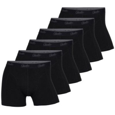 Claudio 6-pack Organic Cotton Trunk