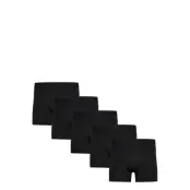 Claudio Claudio 5-Pack Tights - Black - S