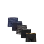 Claudio Claudio 5-Pack Tights - Black - XXXL