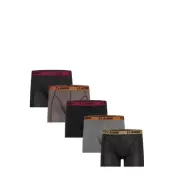 Claudio Claudio 5-Pack Tights - Multi/patterned - XXXL