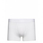 Core Dry Boxer 3-Inch M Sport Boxers White Craft