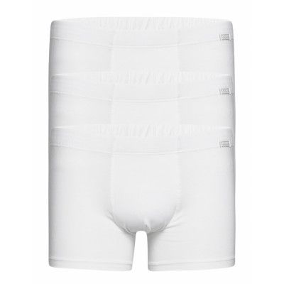 Cotton+ Trunk 3-P Boxerkalsonger Vit Jockey