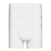 Jockey Cotton+ Trunk 3-P Vit