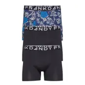 3 Pack Sculls And Roses Boxer Boxerkalsonger Multi/mönstrad Frank Dandy