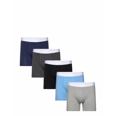 5-P Solid Organic Cotton Boxer Boxerkalsonger Multi/patterned Frank Dandy