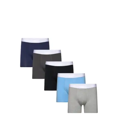 5-P Solid Organic Cotton Boxer Boxerkalsonger Multi/patterned Frank Dandy