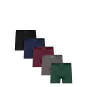 5-Pack Legend Organic Boxer Gift Box Boxerkalsonger Grön Frank Dandy