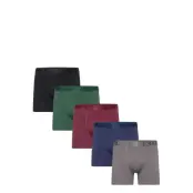 5-Pack Legend Organic Boxer Gift Box Boxerkalsonger Multi/mönstrad Frank Dandy