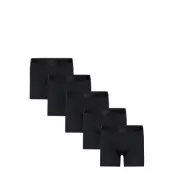 Frank Dandy 5-Pack Legend Organic Boxer Svart