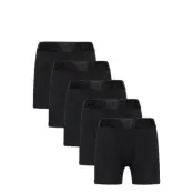 Bo.5-P Organic Cotton Boxer M.junior Night & Underwear Underwear Underpants Svart Frank Dandy