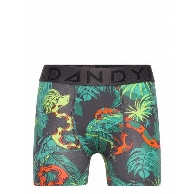 Boy'S Djungel Boxer Night & Underwear Underwear Underpants Grön Frank Dandy