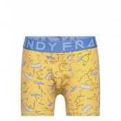 Boy's I-Beach-A Boxer Night & Underwear Underwear Underpants Gul Frank Dandy