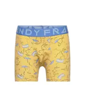 Boy's I-Beach-A Boxer Night & Underwear Underwear Underpants Gul Frank Dandy