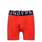 Boy's Solid Boxer Night & Underwear Underwear Underpants Orange Frank Dandy