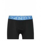 Boy's Solid Boxer W Blue/Lt Blue Night & Underwear Underwear Underpants Svart Frank Dandy