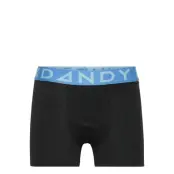 Boy's Solid Boxer W Blue/Lt Blue Night & Underwear Underwear Underpants Svart Frank Dandy