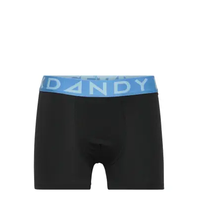 Boy's Solid Boxer W Blue/Lt Blue Night & Underwear Underwear Underpants Svart Frank Dandy