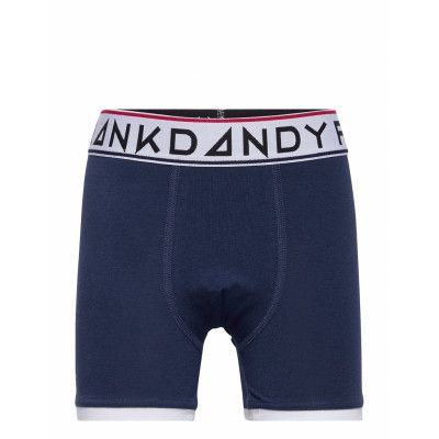 Boy'S St Paul Bamboo Boxer Night & Underwear Underwear Underpants Blå Frank Dandy