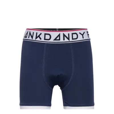 Boy'S St Paul Bamboo Boxer Night & Underwear Underwear Underpants Blå Frank Dandy