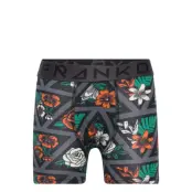 Boy's Triangle Boxer Night & Underwear Underwear Underpants Grå Frank Dandy