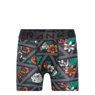 Boy's Triangle Boxer Night & Underwear Underwear Underpants Grå Frank Dandy