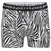 Frank Dandy Boxer Zebra * Fri Frakt *