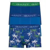 3-Pack Trunk Palm Haze Boxerkalsonger Blå GANT