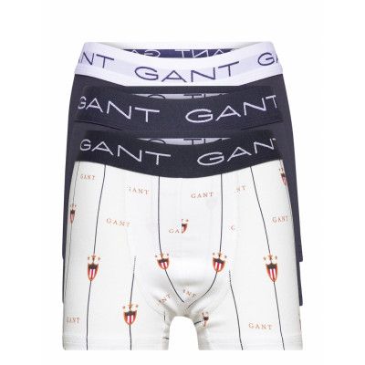 Gant Banner Shield Boy's Trunk 3-P Night & Underwear Underwear Underpants Blå GANT