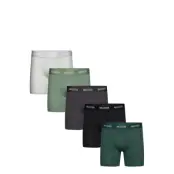 Hollister 5-Pack Longer Length Svart