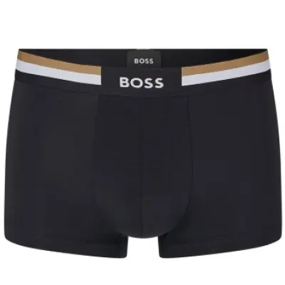 BOSS Trunk Motion