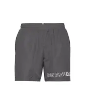 Dolphin Badshorts Grå BOSS
