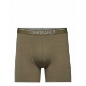 Icebreaker Men Merino 150 Anatomica Boxers Grön