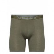 Icebreaker Men Merino 150 Anatomica Long Boxers Grön