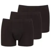 Jockey 3-pack Cotton Plus Trunk 3XL