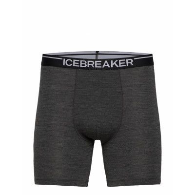 M Anatomica Long Boxers *Villkorat Erbjudande Boxerkalsonger Grå Icebreaker