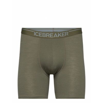 Icebreaker M Anatomica Long Boxers Grön