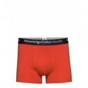 Maple 1 Pack Color Underwear - Gots Boxerkalsonger Röd Knowledge Cotton Apparel