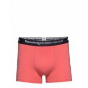 Maple 1 Pack Color Underwear - Gots Boxerkalsonger Rosa Knowledge Cotton Apparel