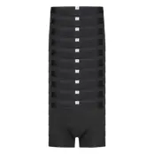 Maple 10-Pack Underwear - Gots/Vega Boxerkalsonger Svart *Villkorat Erbjudande Knowledge Cotton Apparel