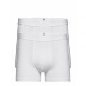 Maple 2 Pack Underwear - Gots/Vegan *Villkorat Erbjudande Boxerkalsonger Vit Knowledge Cotton Apparel