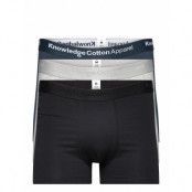 Maple 3-Pack Underwear - Gots/Vegan *Villkorat Erbjudande Boxerkalsonger Svart Knowledge Cotton Apparel