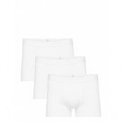 3-Pack Underwear - Gots/Vegan *Villkorat Erbjudande Boxerkalsonger Khakigrön Knowledge Cotton Apparel