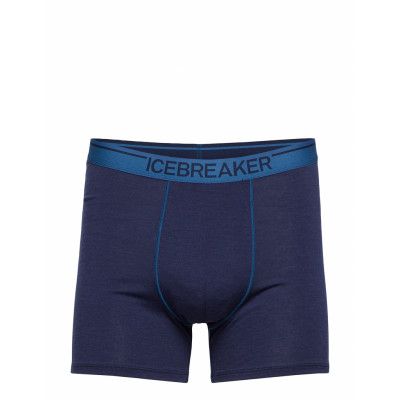 Men Anatomica Boxers Boxerkalsonger Blå Icebreaker